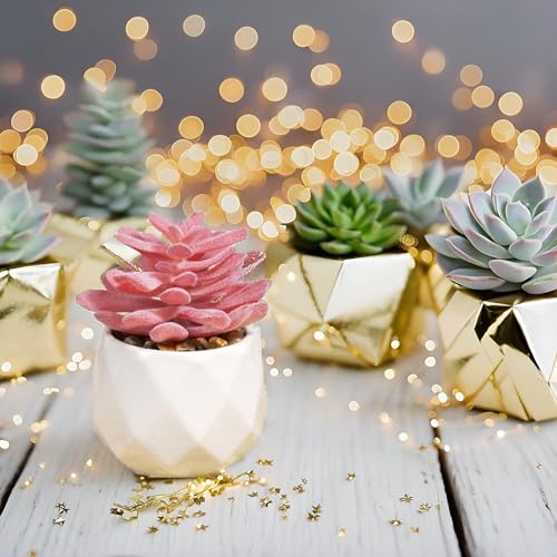 VIVERIE Mini Faux Succulents Plants Artificial in Pots-Rose Pink Desk Accessories, Small Fake Succulents Plants for Home D...