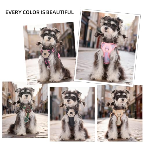 Small Dog Harness and Leash Set, Breathable Mesh Puppy Harness, Adjustable Dog Harness for Small Medium Large Dogs, No-Pul...