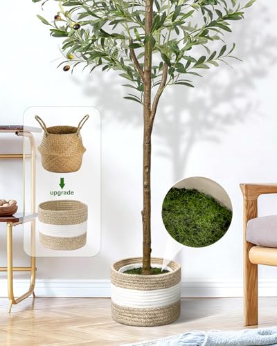 LuceAlberi 6FT Artificial Olive Tree - Indoor Tall Faux Olive Trees with Planter&Basket, Large Fake Olive Silk Tree Realis...