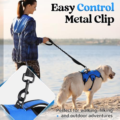 rabbitgoo Escape Proof Dog Harness, Soft Padded Full Body Pet Harness, Reflective Adjustable No Pull Vest with Lift Handle...