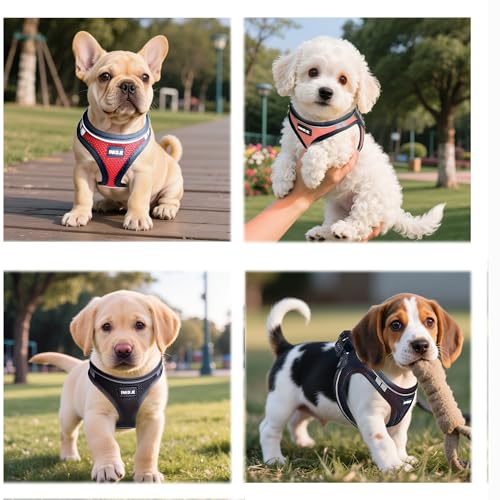 Dog Harness and Leash Set, No Pull Soft Mesh Pet Harness -in Puppy Pet Vest Harnesses for XS,Small,Medium Dogs and Cats Pi...