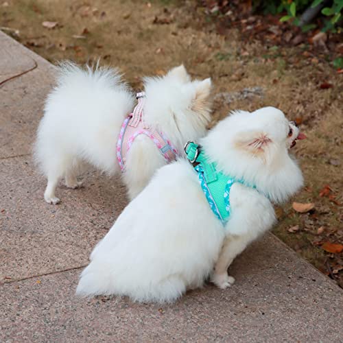 AMTOR Dog Harness with Leash Set,Upgrade No Pull Reflective Step-in Air All Weather Puppy Harness with Padded Vest for Sma...