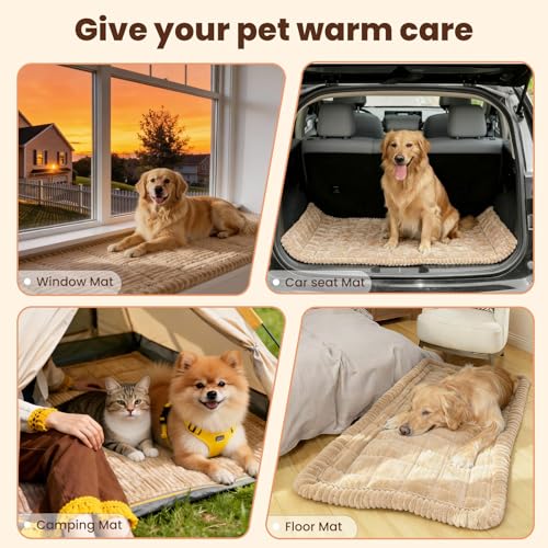 Disayu Couch Cover for Dogs Washable, Non-Slip Pet Couch Covers for Sofa, Fuzzy Dog Couch Cover Blanket, Thick, Soft, Plus...