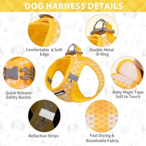 AIITLE No Pull Dog Harness and Leash Set, Step in No Chock Soft Mesh Dog Harnesses Reflective for Extra-Small Puppy Dogs a...