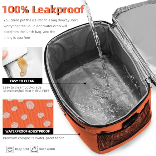 BEIMILY Lunch Box for Men/Women,Small Insulated Lunch Bag,Reusable LunchBox for work Picnic Beach,Leakproof Soft Cooler To...