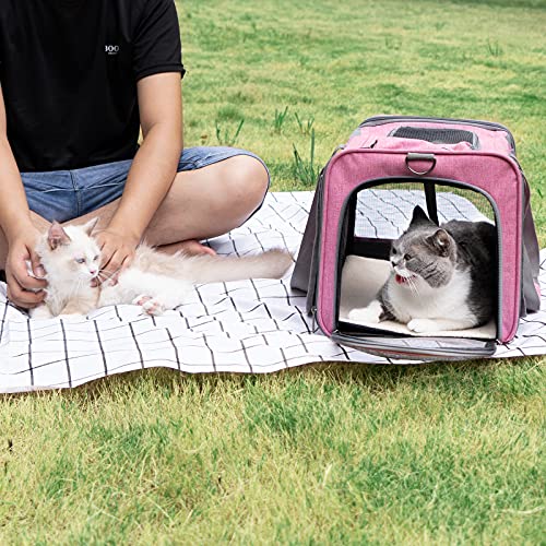 GAPZER Pet Carrier for Large and Medium Cats, Soft-Sided Pet Carrier for Big Medium Cats and Puppy Dog Carriers Cat Carrie...