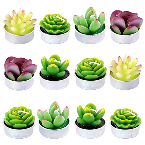 Swpeet 12Pcs Decorative Succulent Cactus Tealight Candles Kit, Cute Smokeless Succulent Plants Perfect for Candles Festiva...