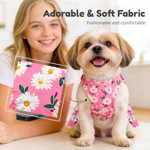 BAEJMJK Dog Dress Bowknot Harness Leash Set for Small Dogs Cats Daisy Floral Girl Dog Dresses Cute Puppy Princess Clothes ...