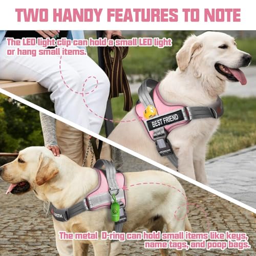AUROTH Dog Harness and Leash Set, Soft Padded Service Dog Vest with 5.25FT Dog Leash, No Choke, Easy On Pet Vest, Adjustab...