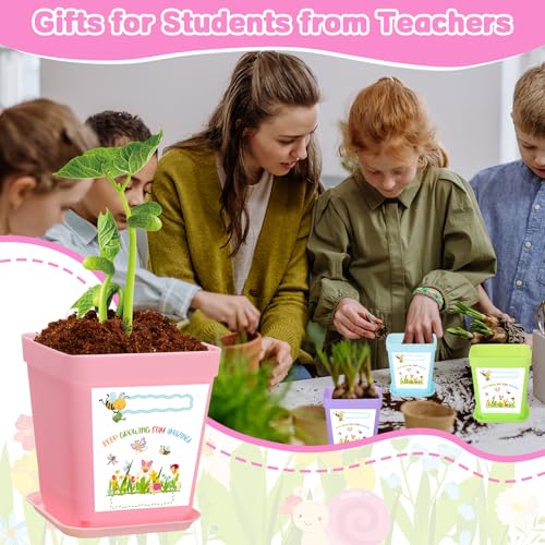50 Sets Garden Flower Pots Crafts Kit Spring Planting Pot with Pots Trays Wildflower Seed Packets Seed Not Included Sticke...