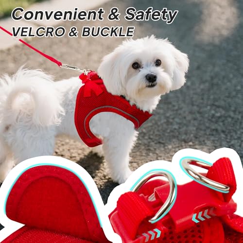 PetiFine Step in Small Dog Harness and Leash Set, Breathable All Weather Air Mesh Reflective Escape Proof, Step-in Vest Ha...