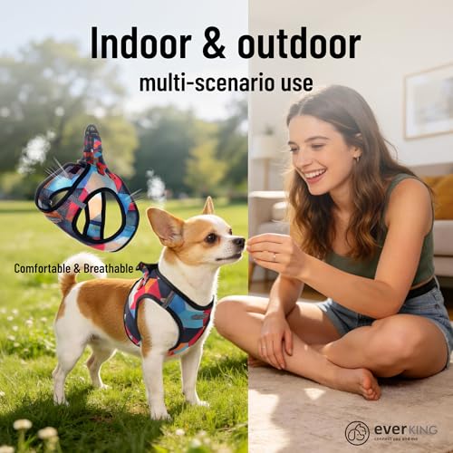 EVERKING Breathable Mesh No-Pull Dog Harness & Leash Set for Small Dogs, Reflective Trim for Safety – Comfortable Vest Des...