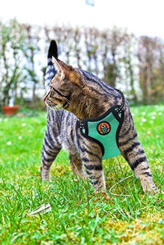 AWOOF Reflective Kitten Harness and Leash Escape Proof with Car Seat Belt, Adjustable Cat Puppy Walking Jacket with Metal ...