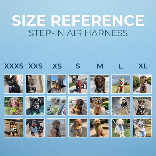 Best Pet Supplies Voyager Step-in Air Harness - All Weather Mesh, Reflective, No Pull Harness for Dogs, Cats - Secure with...