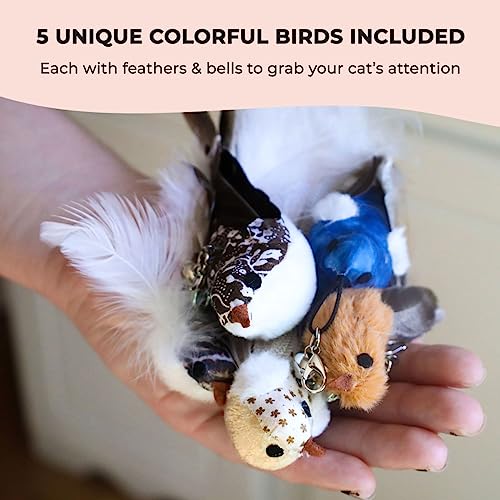 Whiskertons Interactive Bird Simulation Cat Toy Set, Interactive Cat Toys for Indoor Cats, Cat Feather Toy, Self-Holding S...
