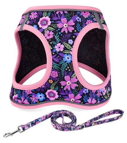 Mihqy Step in Dog Harness and Leash Set, Reflective Adjustable No Pull Dog Harness for Small Medium Dogs Puppy and Cats, S...