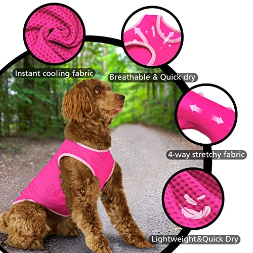 UNIPUP 2 Pack Cooling Shirts for Dogs, Lightweight Mesh Breathable Dog Shirt for Small Dogs Girl,Sun-Protection Sleeveless...