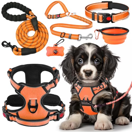 LOBEVE No Pull Dog Harness, Collar & Leash Set | Includes Dog Seat Belt, Collapsible Bowls & Poop Bag Dispenser. Ideal for...