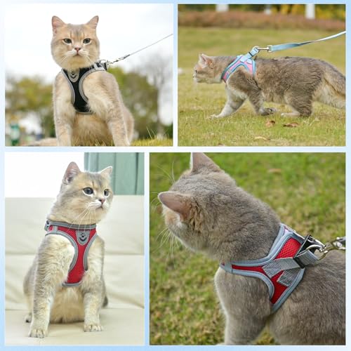 SCENEREAL Cat Harness and Leash Set Escape Proof, Adjustable Soft Air Mesh Kitten Harnesses for Girls Boys Small Medium Bi...