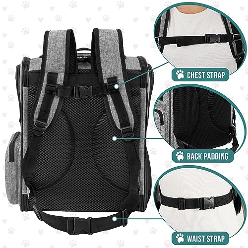 PetAmi Dog Backpack Carrier for Small Large Cat, Pet, Puppies, Ventilated Pet Hiking Backpack Travel Bag, Airline Approved...