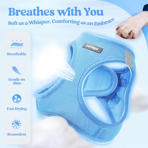 rabbitgoo Dog Harness Small Sized and Leash Set, Step in Soft Light Puppy Vest, Breathable Mesh Pet Harness, Reflective fo...