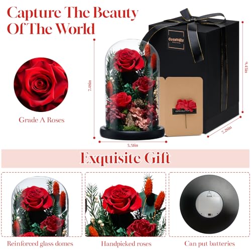CuteWelt Preserved Roses,Forever Fresh Flowers 7.48in,Gift for Women,Mom,Grandma,Wife,Girlfriend,Sister,and Daughter Perfe...