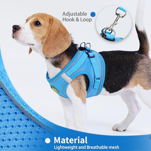 Jolifield Step in Dog Harness with Leash Set, Adjustable Soft Padded and Breathable Mesh for Small Sized Dog, Reflective N...