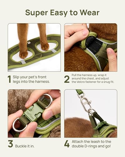 PetThem Upgraded Cat Harness and Leash Set - Step-in Escape Proof Adjustable Cat Harness, Comfortable Soft Lightweight, Re...
