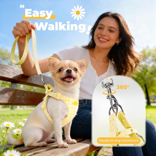 PETCARE Cute Small Dog Harness and Leash Set Yellow Floral Daisy Puppy Harness Vest Adjustable Step in Spring Summer Soft ...