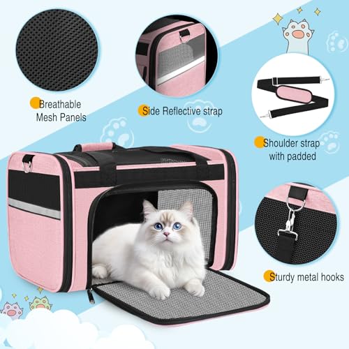 HUANLANG Soft-Sided Cat Carrier Airline Approved,Dog Carriers for Small Dogs Medium Cats,Pet Travel Carrier Up to 20 Lbs,C...