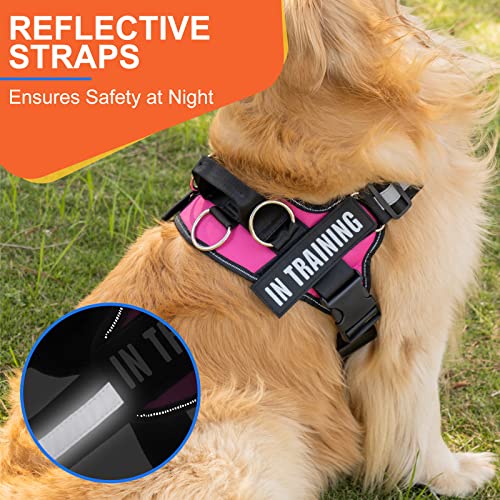 Essential Dog Harness, No Pull Pet Harness with 3 Side Rings for Leash Placement, No Choke, Reflective, Adjustable Pet Ves...