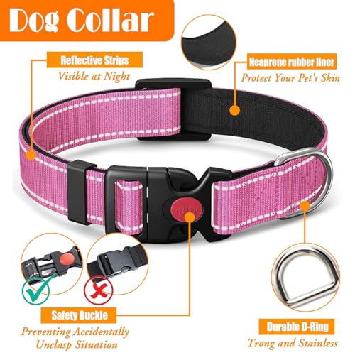 LOBEVE No Pull Dog Harness, Collar & Leash Set | Includes Dog Seat Belt, Collapsible Bowls & Poop Bag Dispenser. Ideal for...