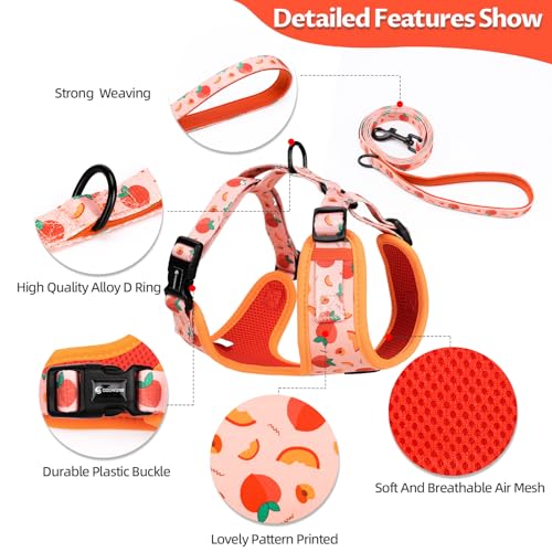 Dog Harness and Leash Set, Adjustable Dog Harness, Dog Leash, No Pull No Choke Puppy Harnesses for Walking Training for Sm...