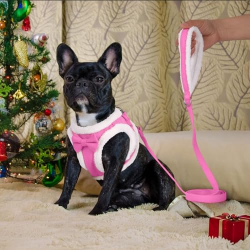 Didog Small Dog Harness and Leash Set, No Pull Adjustable Soft Padded Dog Harness Vest for XS Small and Medium Sized Dogs...