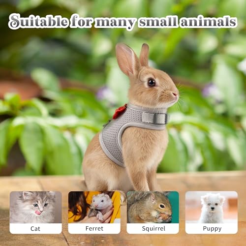 AIITLE Rabbit Harness and Leash Set with Cute Bow, Soft Breathable Mesh Vest Harness for Rabbits Kitten Ferret Puppy Small...