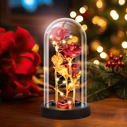 Tayfeim Gifts for Mom, Womens Gift for Birthday Gifts for Women Mom Wife Girlfriend, Light Up Rose in A Glass Dome, Rose G...