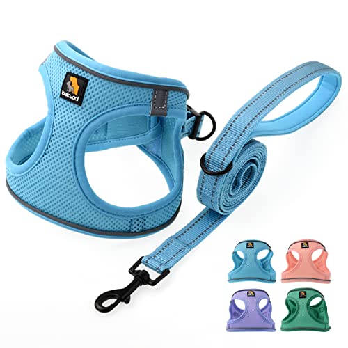 BELLA & PAL Step in Vest Harness for Small and Medium Dogs, No Pull Small Dog Harness with Leash Set, Comfortable Air Mesh...