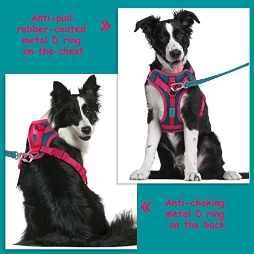 Wolfone No Pull Dog Harness Adjustable Soft Padded Pet Vest with Control Handle Adorable Daily Harness for Dogs（Viridian G...