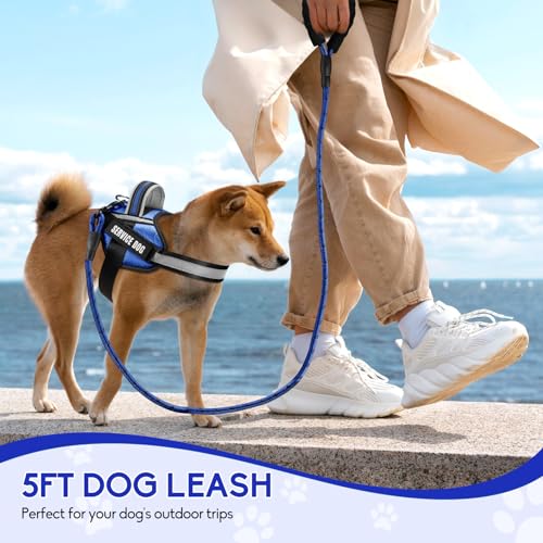 Service Dog Vest Harness and Leash Set, Animire in Training Dog Harness with 10 Dog Patches, Reflective Dog Leash with Sof...