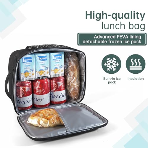 DAWAN freezable Insulated lunch bag,Built in detachable ice pack, Black, Insulated Cooler Tote with Handle for men or wome...