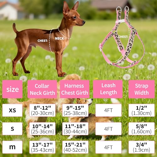 Mile High Life Leopard Dog Harness Collar Leash Set, Adjustable No Pull Dog Halter Harness for Small Breed Dogs, Easy Cont...
