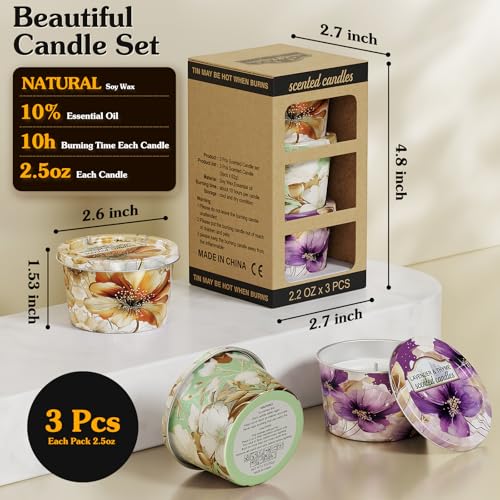 3-Pack Aromatherapy Candle Set - Travel-Size Scented Candles 2.5 oz Each | 10+ Hour Relaxing Long-Lasting Burn | Fragrant ...