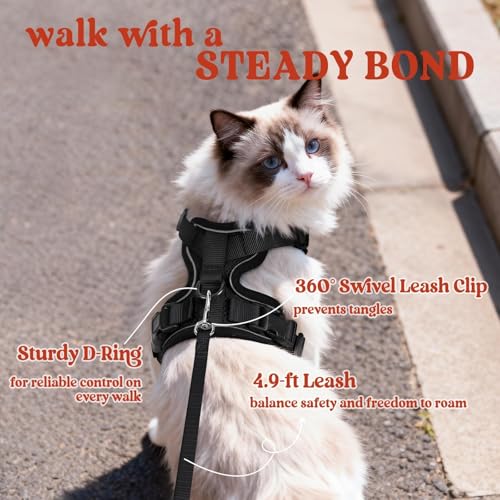 rabbitgoo Cat Harness and Leash for Walking, Escape Proof Soft Adjustable Vest Harnesses for Cats, Easy Control Breathable...
