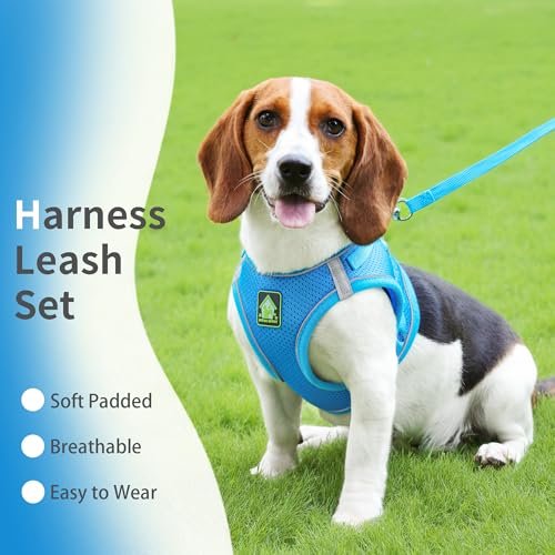Jolifield Step in Dog Harness with Leash Set, Adjustable Soft Padded and Breathable Mesh for Small Sized Dog, Reflective N...