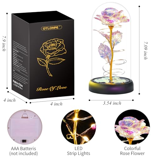 Otlonpe Mothers Day Flowers Gifts for Mom from Daughter Son, Preserved Forever Glass Light Up Rose Gifts for Grandma Wife ...