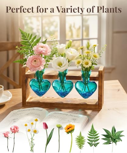 Nacome Plant Terrarium Propagation Stations: Mothers Day Gifts for Mom Plant Lovers Women Wife Daughter - 3 Bulb Glass Vas...