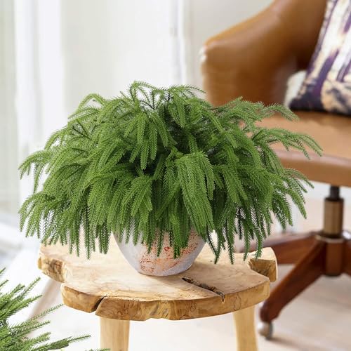 Rowfad 24 Pcs Artificial Norfolk Pine Branches, Faux Norfolk Pine Stems DIY Crafts Faux Christmas Norfolk Pine Branches fo...