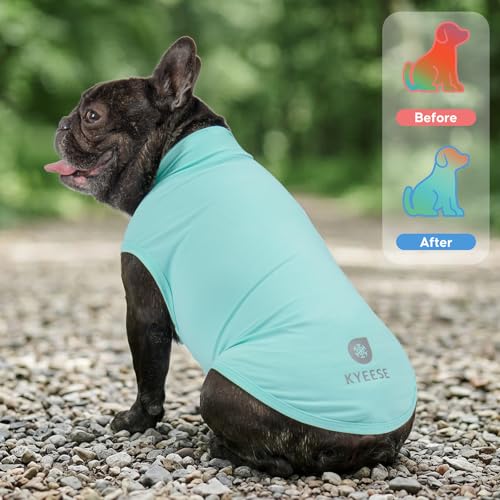 KYEESE 2Pack Dog Cooling Shirt, Breathable Dog Shirt for Small Dogs Boy, Sun Protection Reflective Pet Vest, Lightweight S...