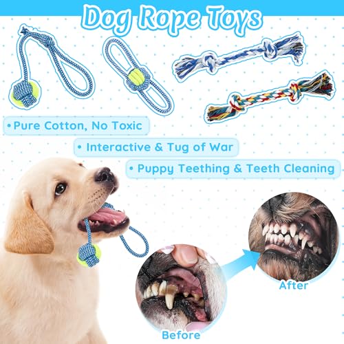 Ousiya 12 Pack Puppy Teething Toys Set - Small Breed Chew Toys with Storage Case, Suitable for Puppies 8 Weeks