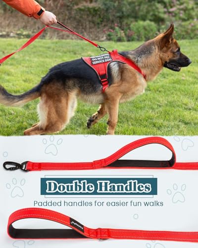 Service Dog in Training Vest Leash Set, Reflective Do Not Pet Dog Harness with Handle and 6 Patches, Full Metal Buckles, f...
